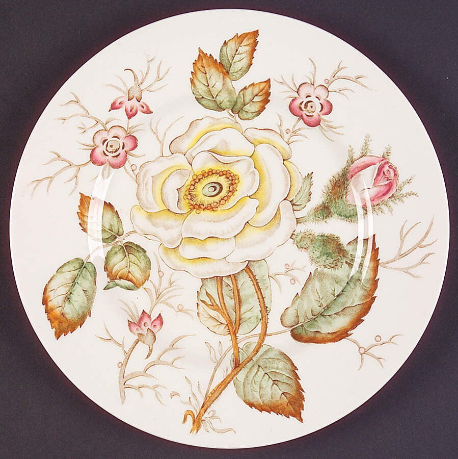 Old Rose Salad Plate by John Maddock & Sons-1