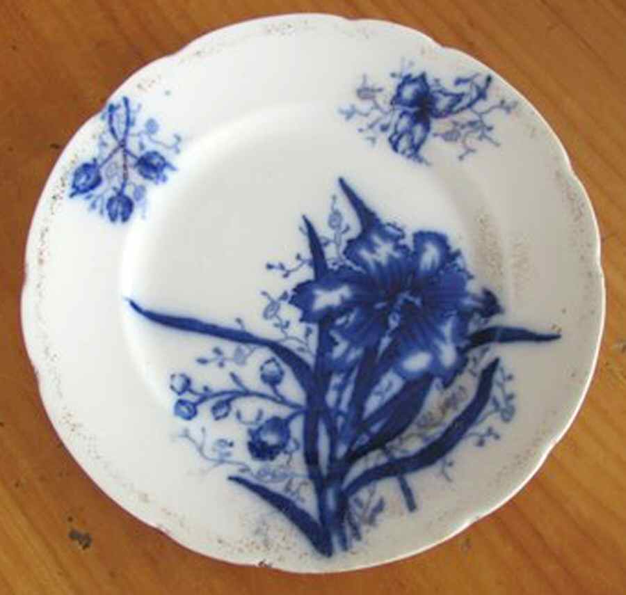 Orchid (Flowblue) Dinner Plate by John Maddock & Sons-1