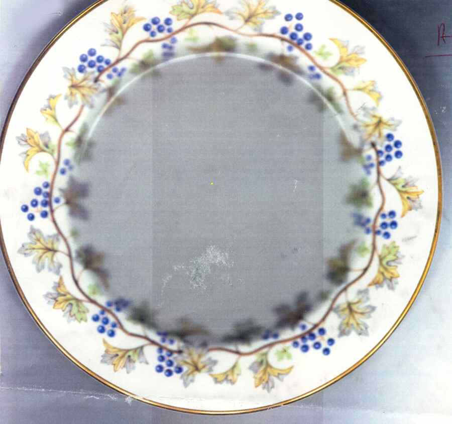 Autumn Vine Salad Plate by Marlborough-1