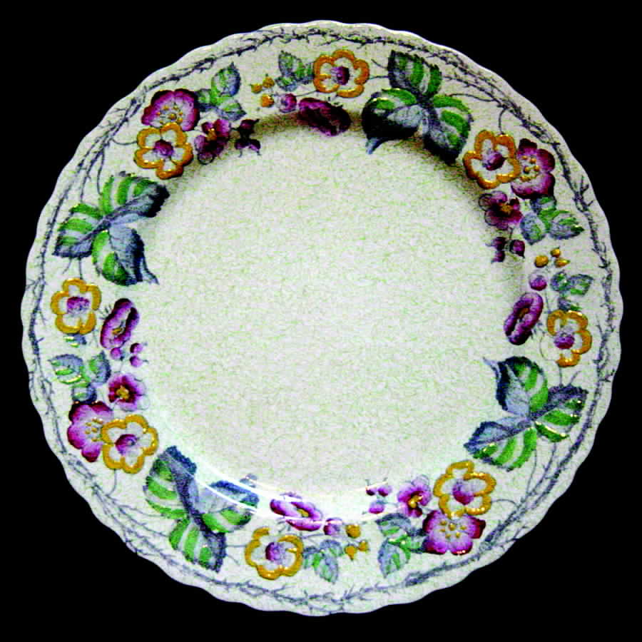 C4647 Dinner Plate by Mason's-1