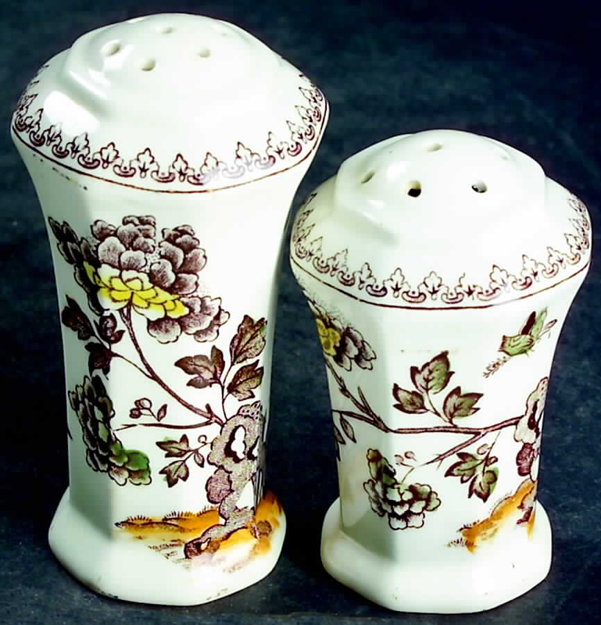 Manchu Brown Multicolor Salt & Pepper Set by Mason's-1