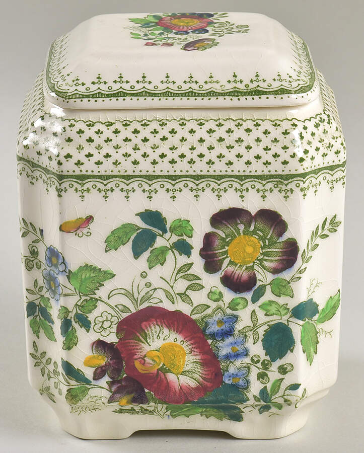 Paynsley Green Multicolor Fan Jar & Lid by Mason's-1