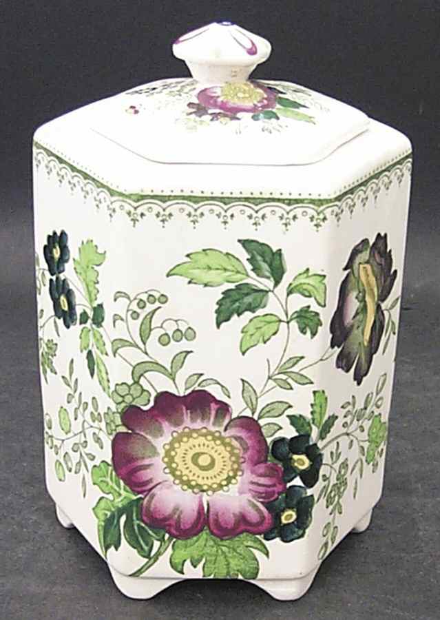 Paynsley Green Multicolor Candy Jar & Lid by Mason's-1