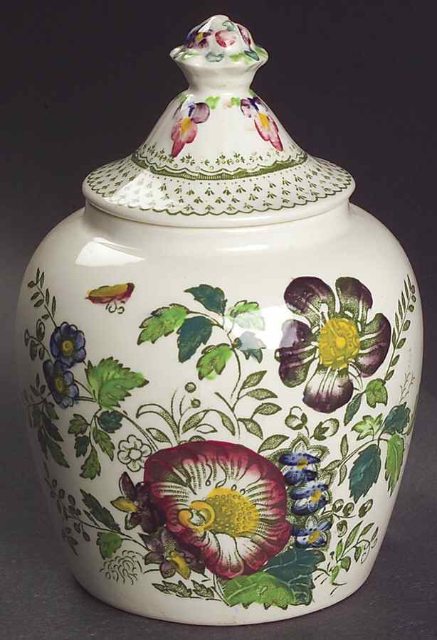 Paynsley Green Multicolor Jam/Jelly & Lid by Mason's-1