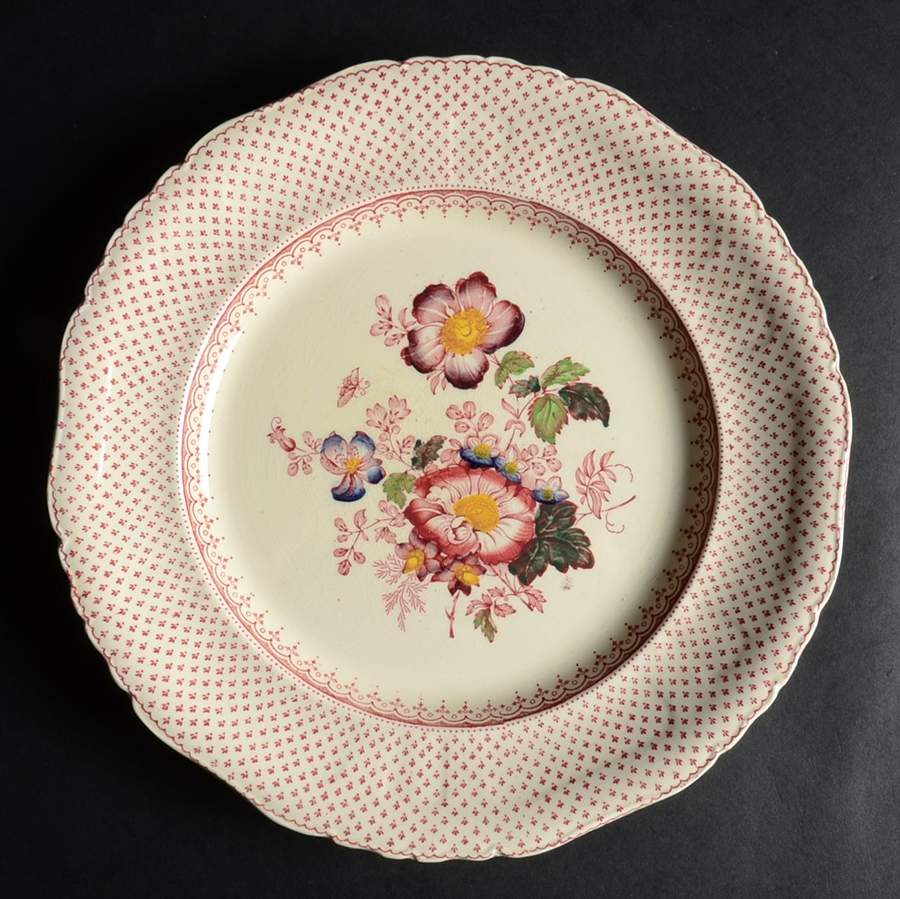 Paynsley Pink Dinner Plate by Mason's-1