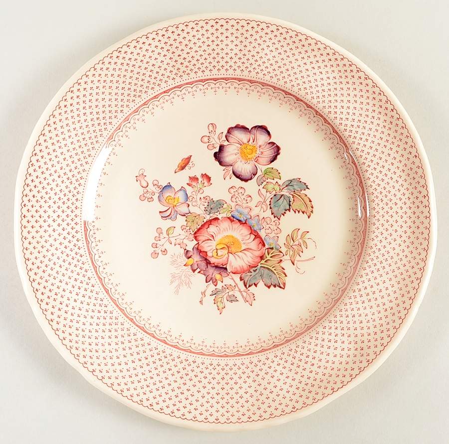 Paynsley Pink Dinner Plate by Mason's-1