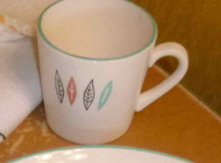 Nordic Mint Flat Cup by Marcrest-1