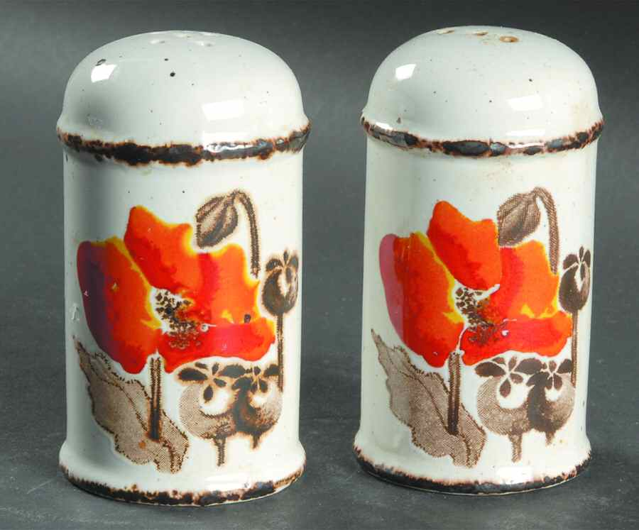 Autumn Salt & Pepper Set by W R Midwinter Ltd-1