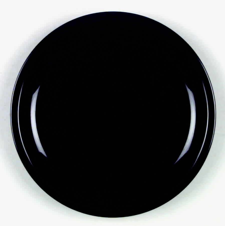 Black Ice Dinner Plate by W R Midwinter Ltd-1