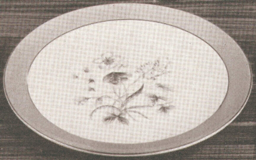 Mayfield Dinner Plate by W R Midwinter Ltd-1