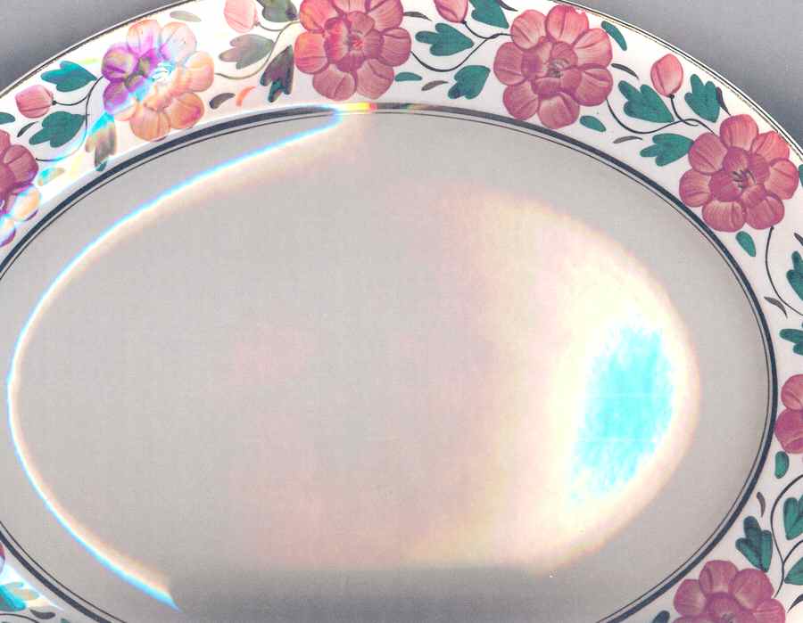 Painted Floral 14" Oval Serving Platter by W R Midwinter Ltd-1