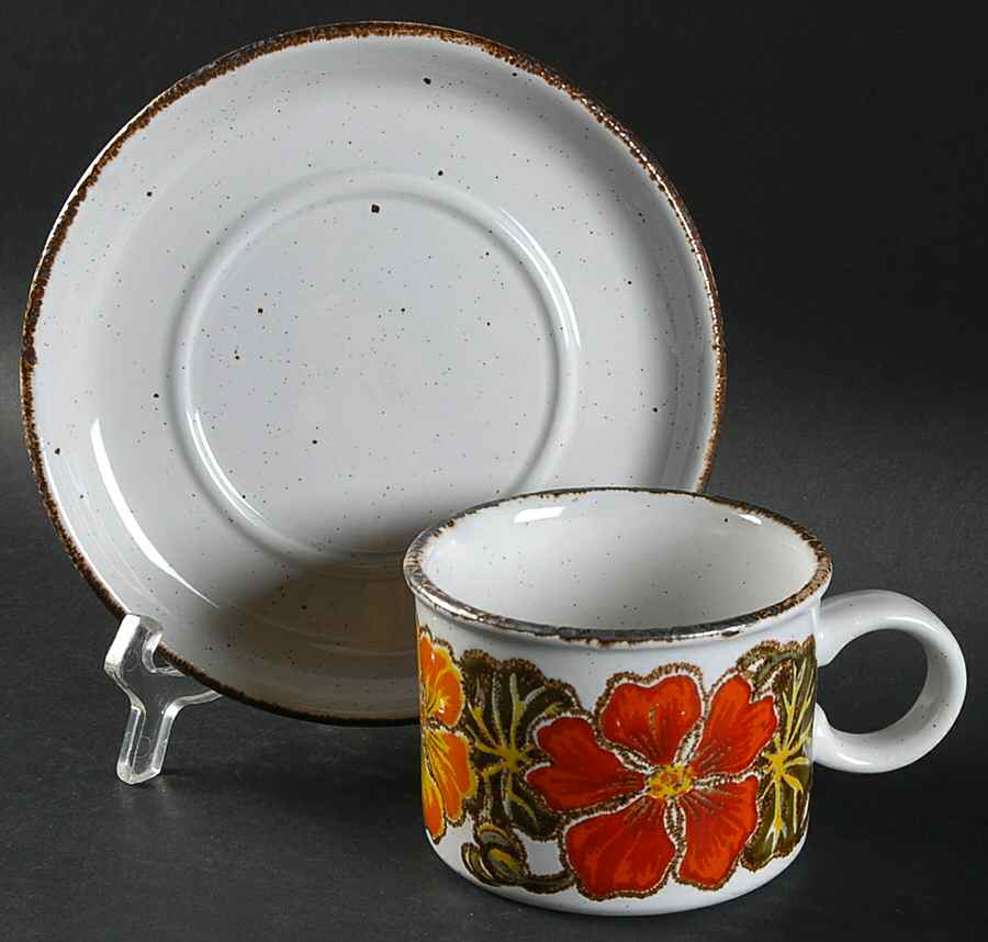 Nasturtium Flat Cup & Saucer Set by W R Midwinter Ltd-1