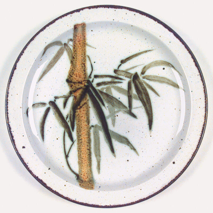 Rangoon Dinner Plate by W R Midwinter Ltd-1