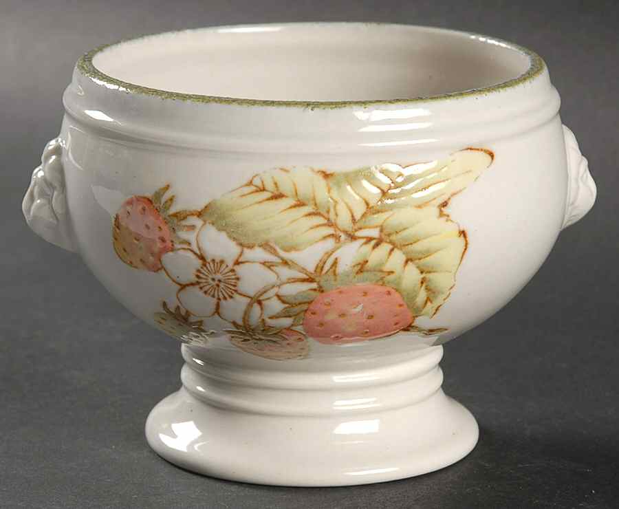 Still Life Open Onion Soup by W R Midwinter Ltd-1