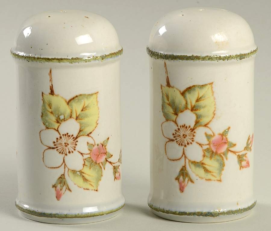 Still Life Salt & Pepper Set by W R Midwinter Ltd-1