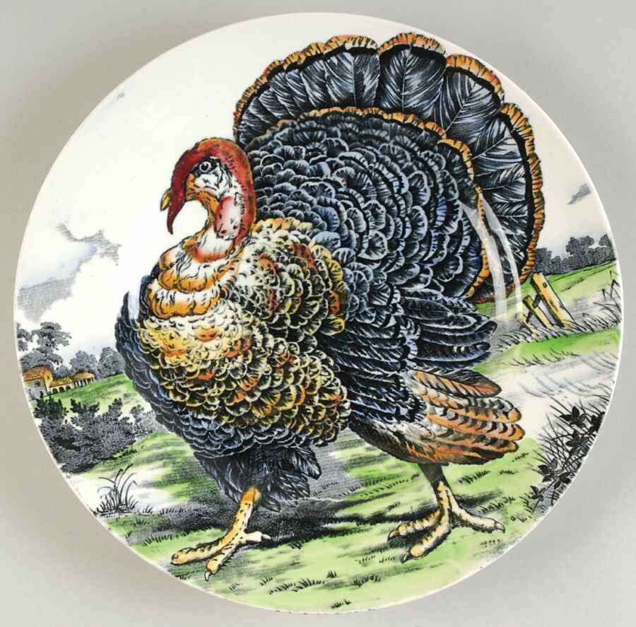 Turkey Brown Multicolor Dinner Plate by W R Midwinter Ltd-1