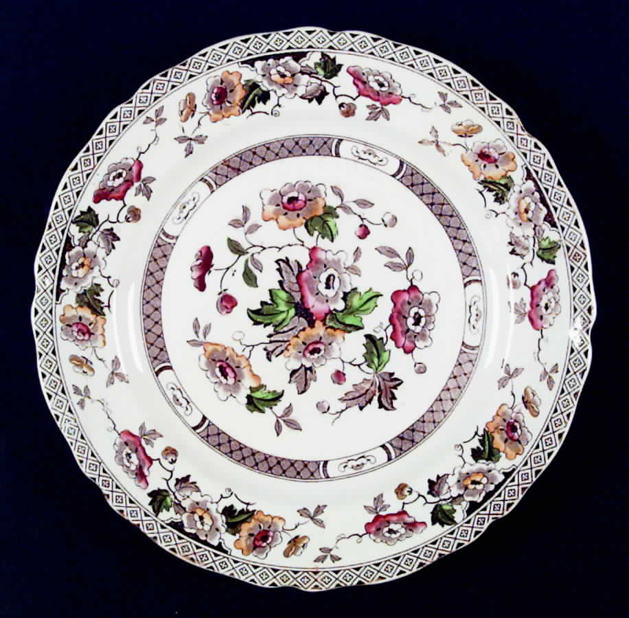 Windsor Brown Multicolor Dinner Plate by W R Midwinter Ltd-1