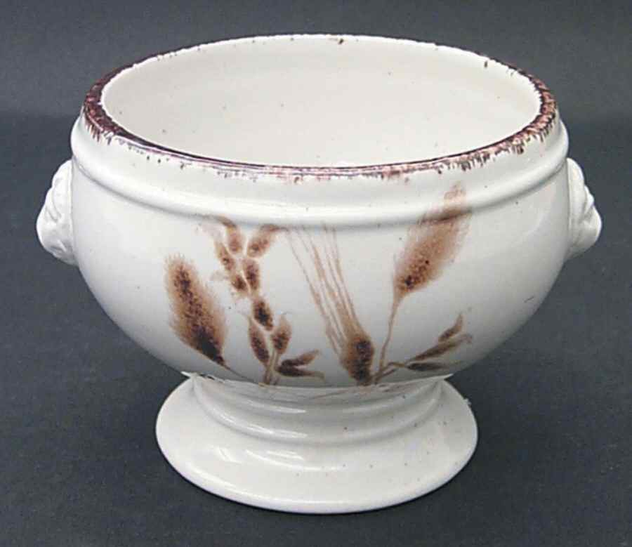 Wild Oats Stonehenge Open Onion Soup by W R Midwinter Ltd-1