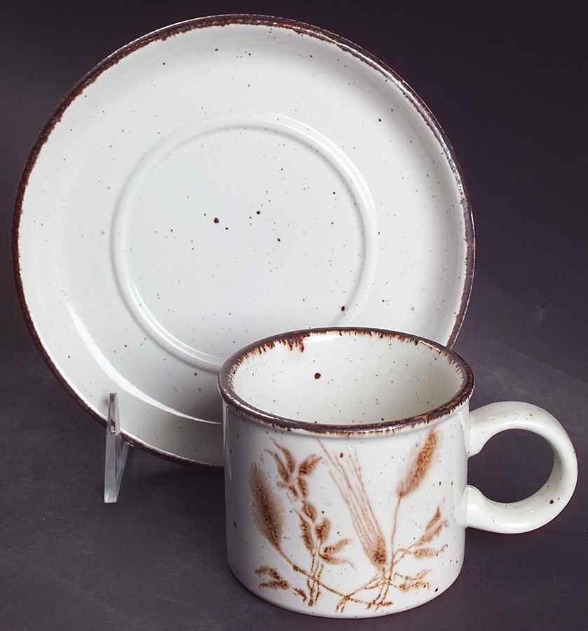 Wild Oats Stonehenge Flat Cup & Saucer Set by W R Midwinter Ltd-1