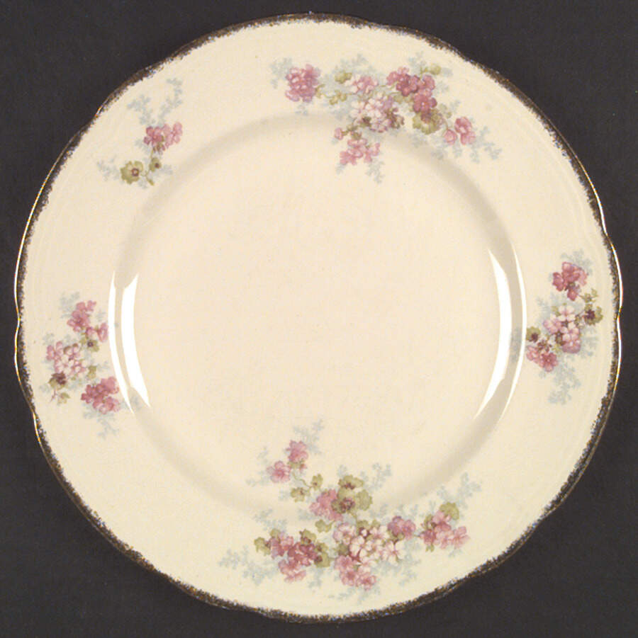 Avondale Dinner Plate by Alfred Meakin-1