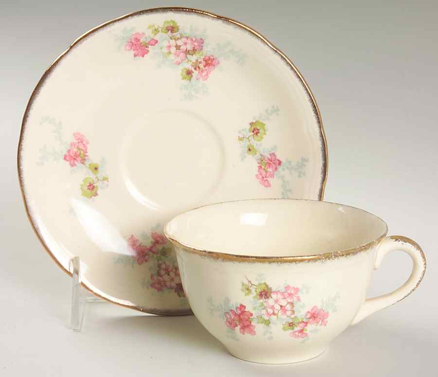 Avondale Flat Cup & Saucer Set by Alfred Meakin-1