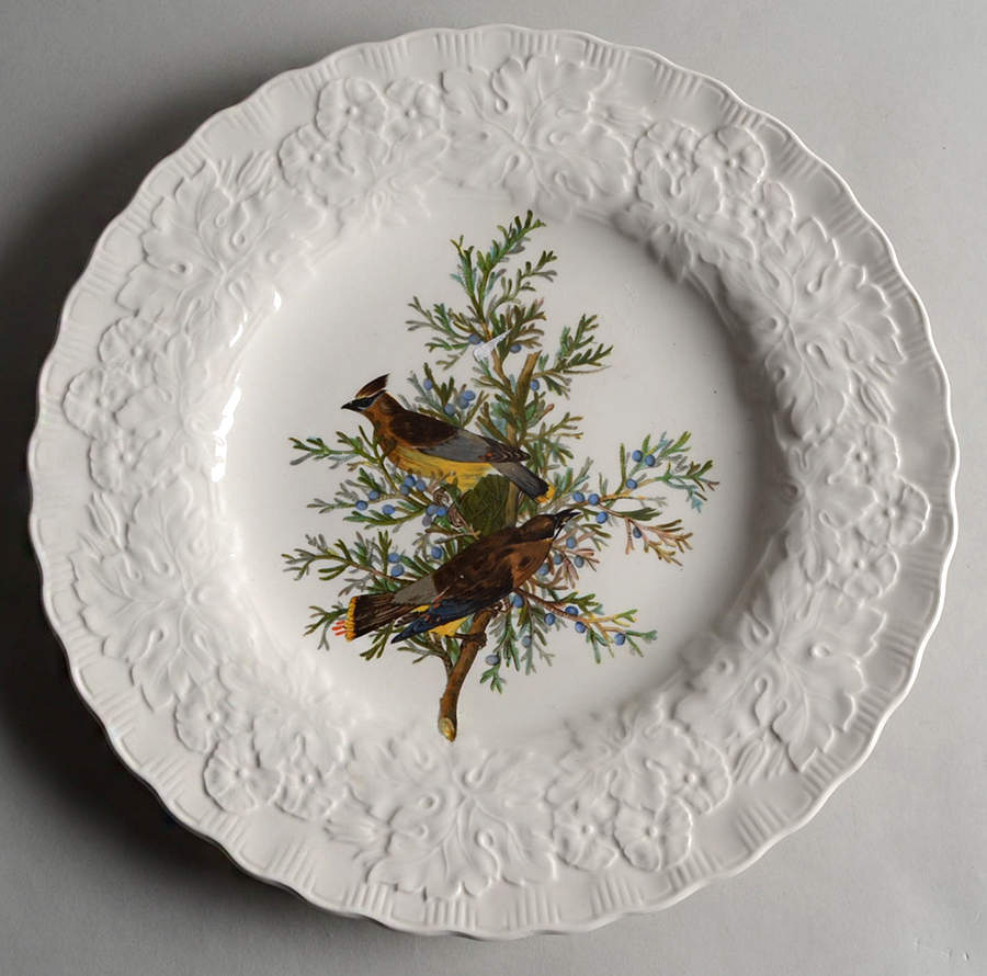 Birds of America (Embossed Floral Rim) Dinner Plate by Alfred Meakin-1