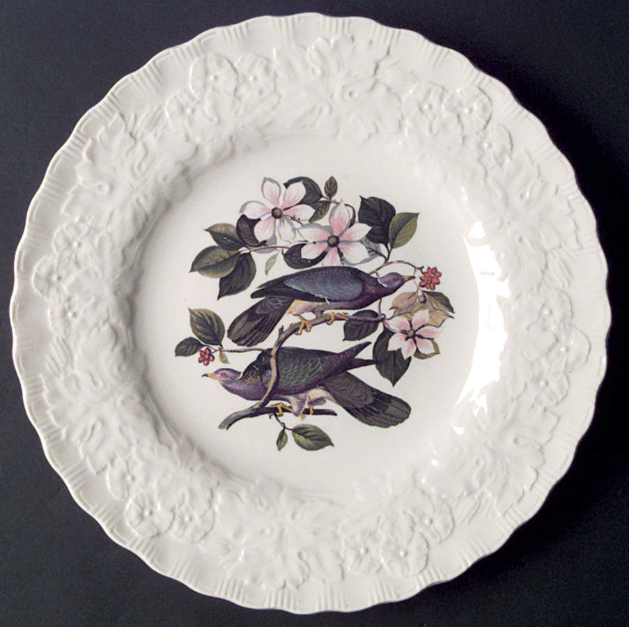 Birds of America (Embossed Floral Rim) Dinner Plate by Alfred Meakin-1