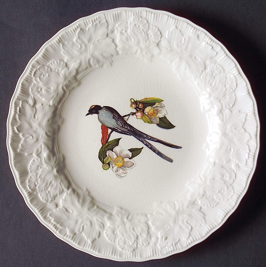 Birds of America (Embossed Floral Rim) Salad Plate by Alfred Meakin-1