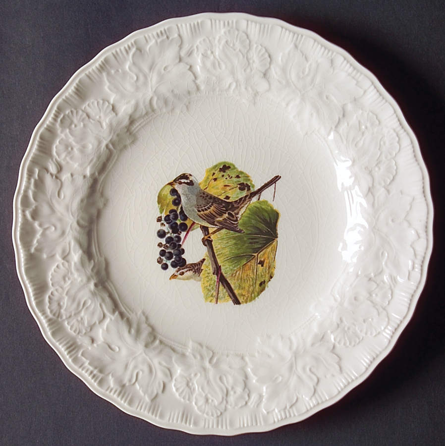 Birds of America (Embossed Floral Rim) Salad Plate by Alfred Meakin-1