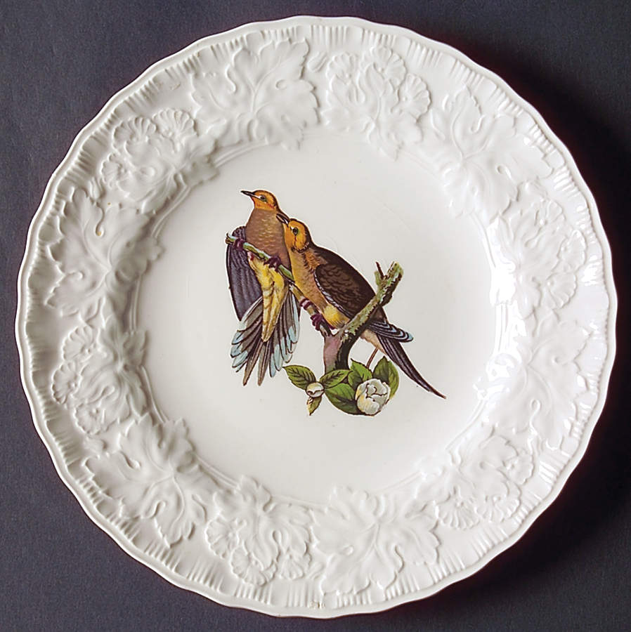 Birds of America (Embossed Floral Rim) Salad Plate by Alfred Meakin-1