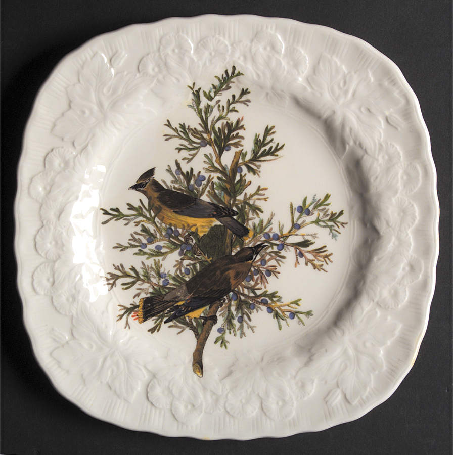 Birds of America (Embossed Floral Rim) Square Luncheon Plate by Alfred Meakin-1