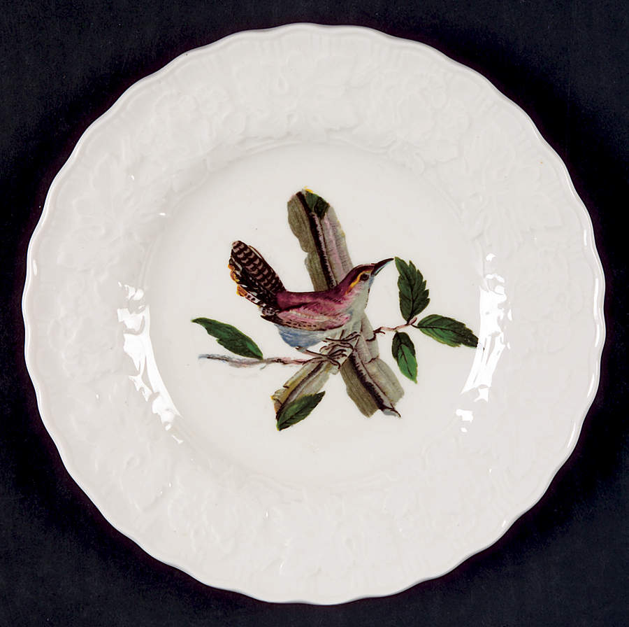 Birds of America (Embossed Floral Rim) Bread & Butter Plate by Alfred Meakin-1