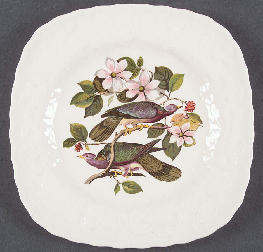 Birds of America (Embossed Floral Rim) Square Luncheon Plate by Alfred Meakin-1