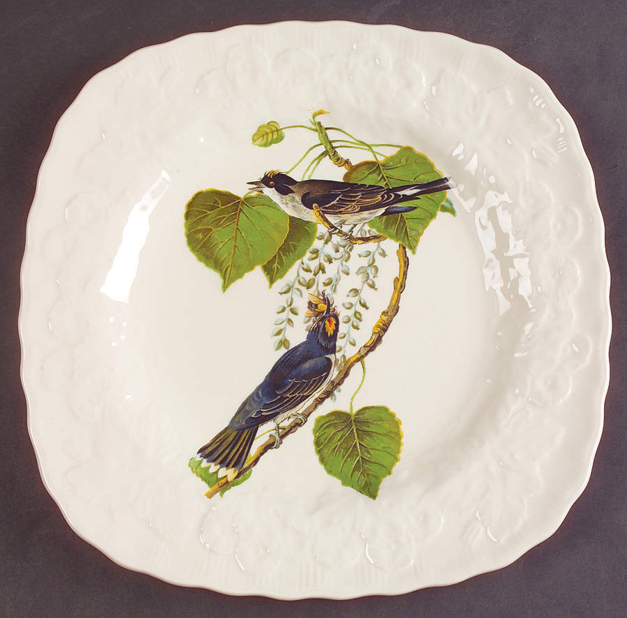 Birds of America (Embossed Floral Rim) Square Luncheon Plate by Alfred Meakin-1