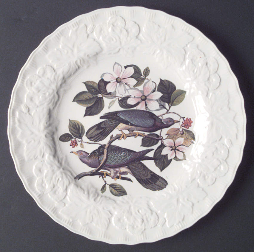 Birds of America (Embossed Floral Rim) Luncheon Plate by Alfred Meakin-1