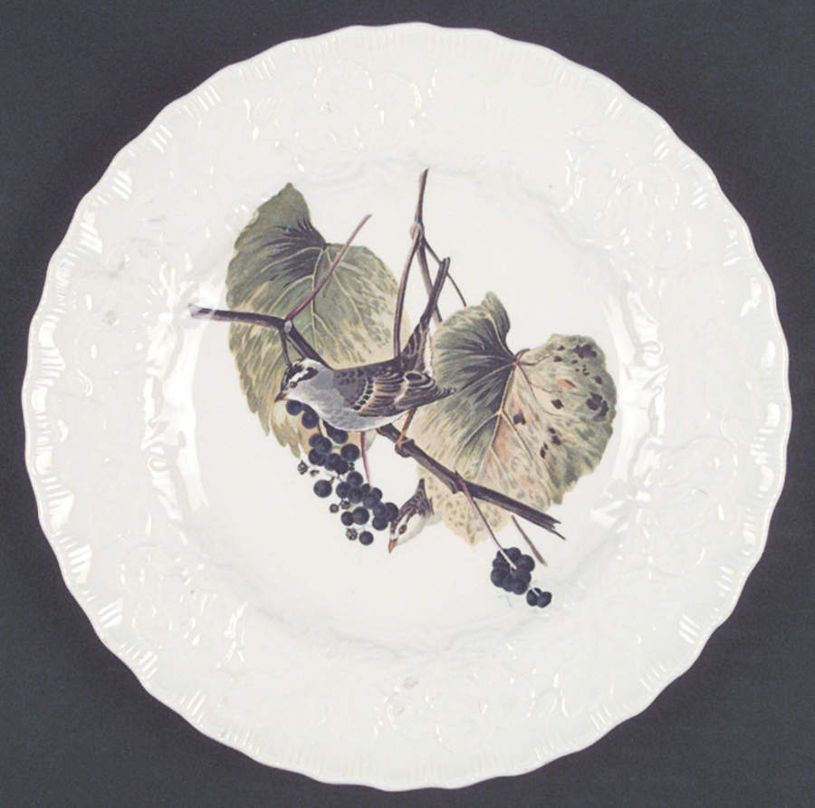 Birds of America (Embossed Floral Rim) Luncheon Plate by Alfred Meakin-1