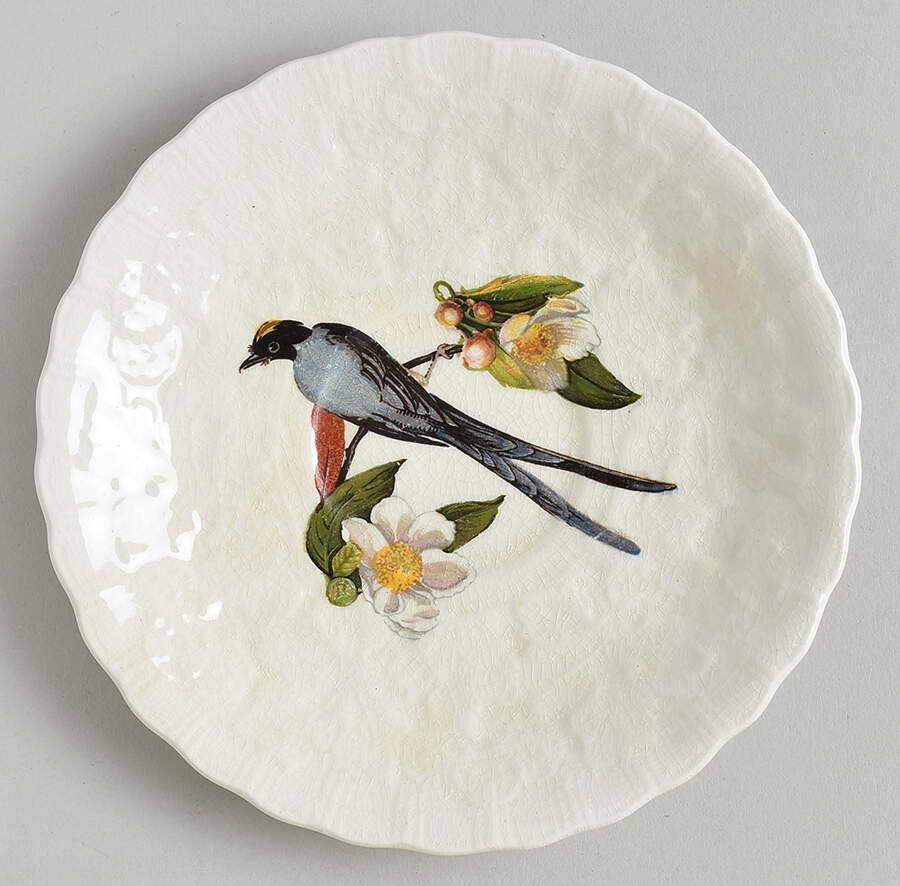 Birds of America (Embossed Floral Rim) Saucer for Flat Cup by Alfred Meakin-1