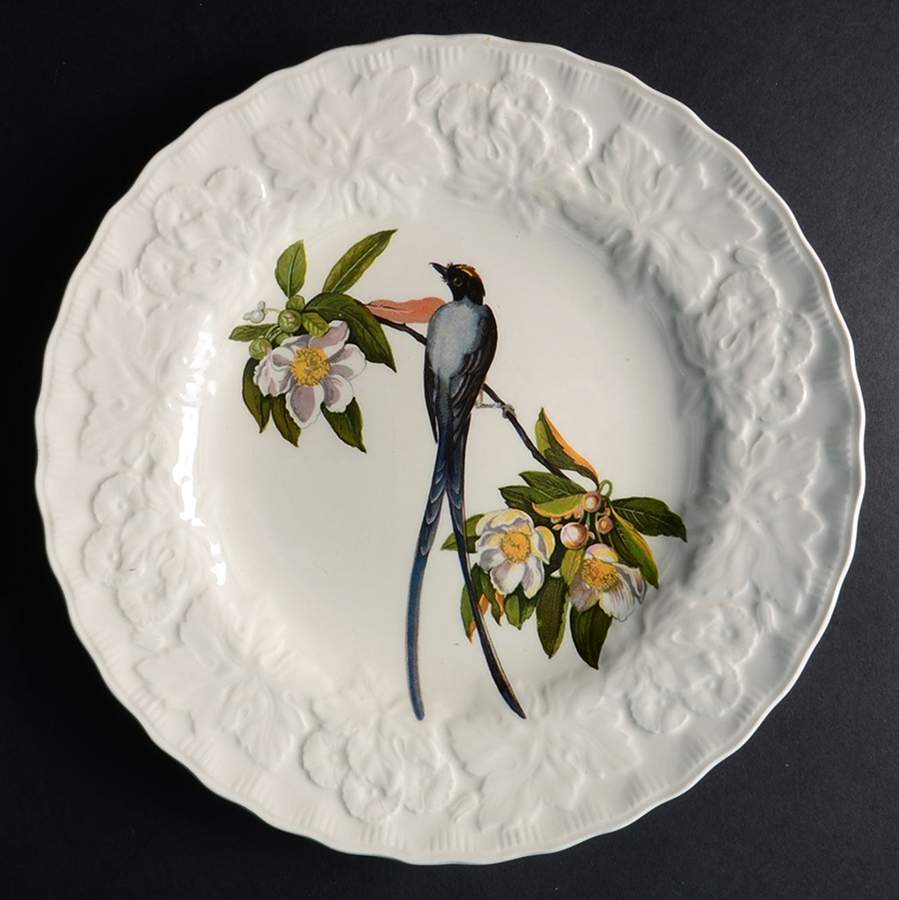 Birds of America (Embossed Floral Rim) Luncheon Plate by Alfred Meakin-1