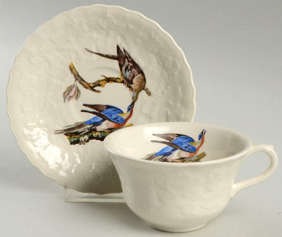 Birds of America (Embossed Floral Rim) Flat Cup & Saucer Set by Alfred Meakin-1