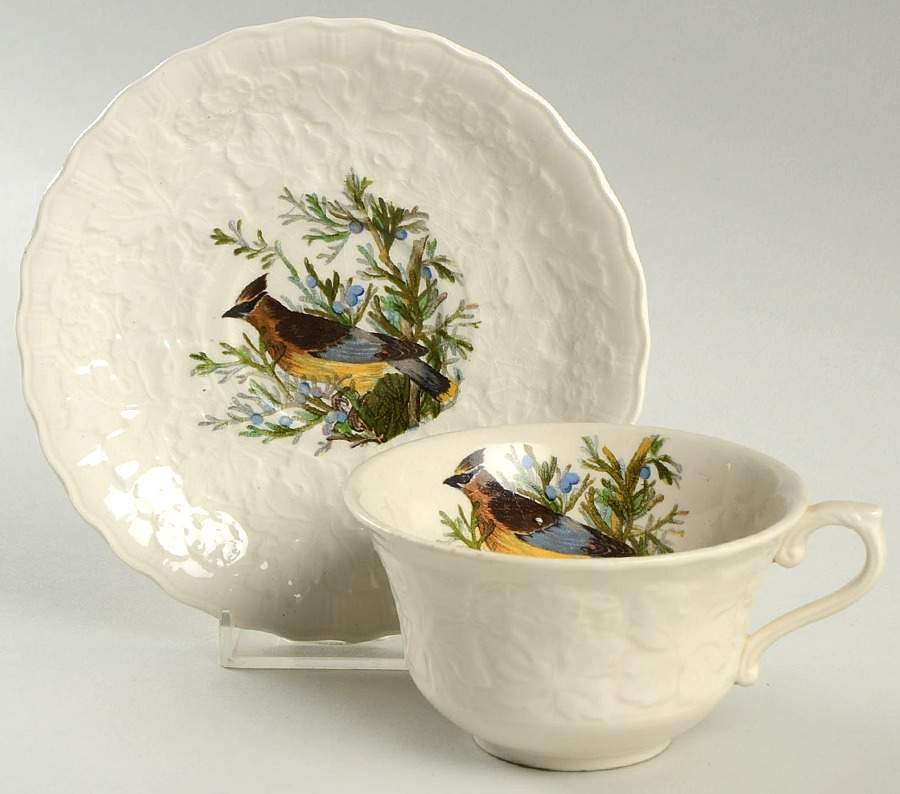 Birds of America (Embossed Floral Rim) Flat Cup & Saucer Set by Alfred Meakin-1