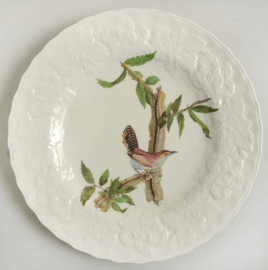 Birds of America (Embossed Floral Rim) Luncheon Plate by Alfred Meakin-1