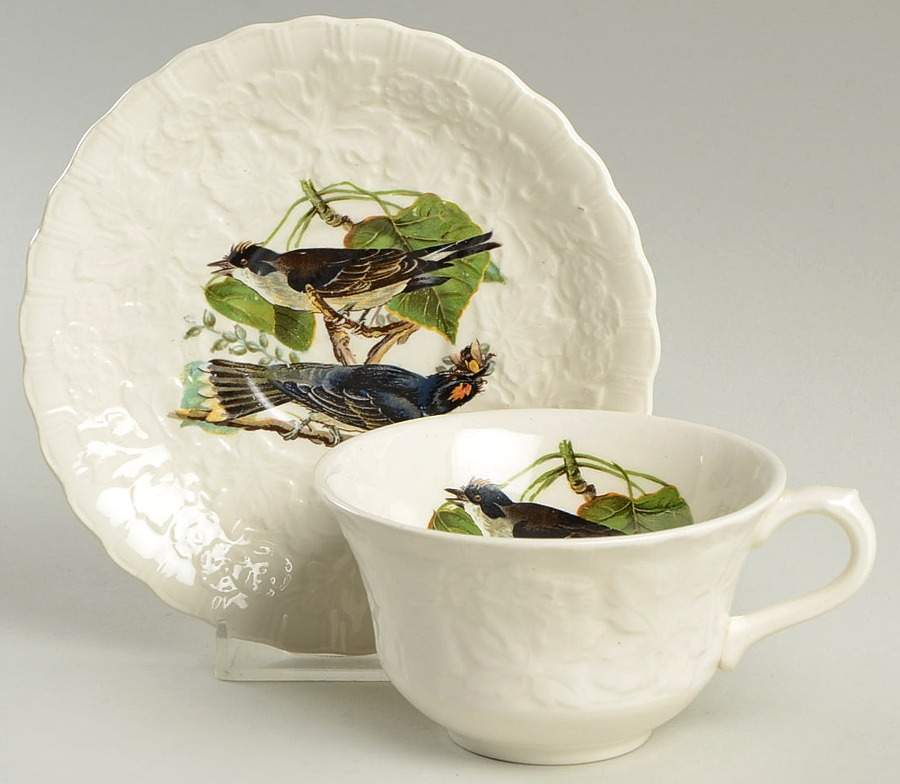 Birds of America (Embossed Floral Rim) Flat Cup & Saucer Set by Alfred Meakin-1
