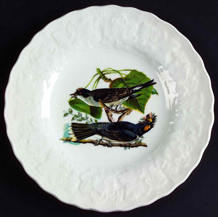 Birds of America (Embossed Floral Rim) Bread & Butter Plate by Alfred Meakin-1