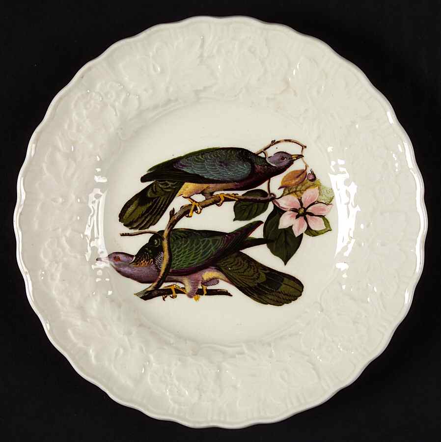 Birds of America (Embossed Floral Rim) Bread & Butter Plate by Alfred Meakin-1