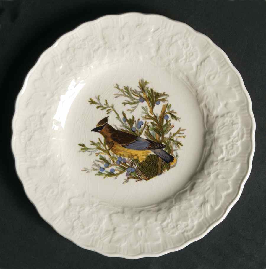 Birds of America (Embossed Floral Rim) Bread & Butter Plate by Alfred Meakin-1