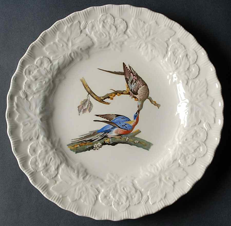 Birds of America (Embossed Floral Rim) Luncheon Plate by Alfred Meakin-1