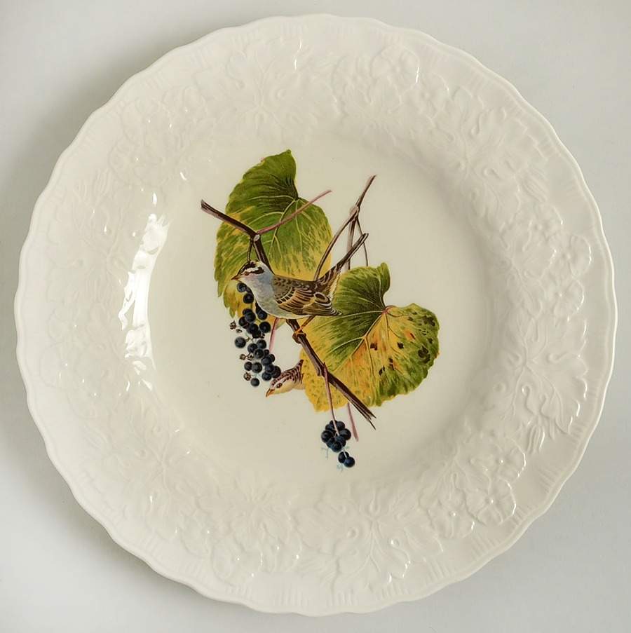 Birds of America (Embossed Floral Rim) Dinner Plate by Alfred Meakin-1