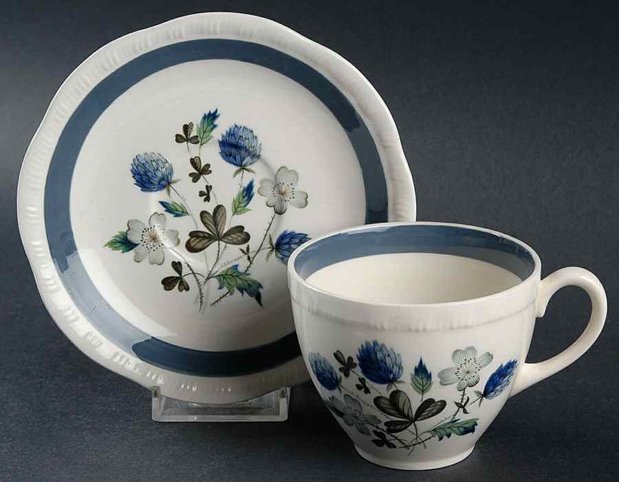 Blue Clover (Raised Edge) Flat Cup & Saucer Set by Alfred Meakin-1