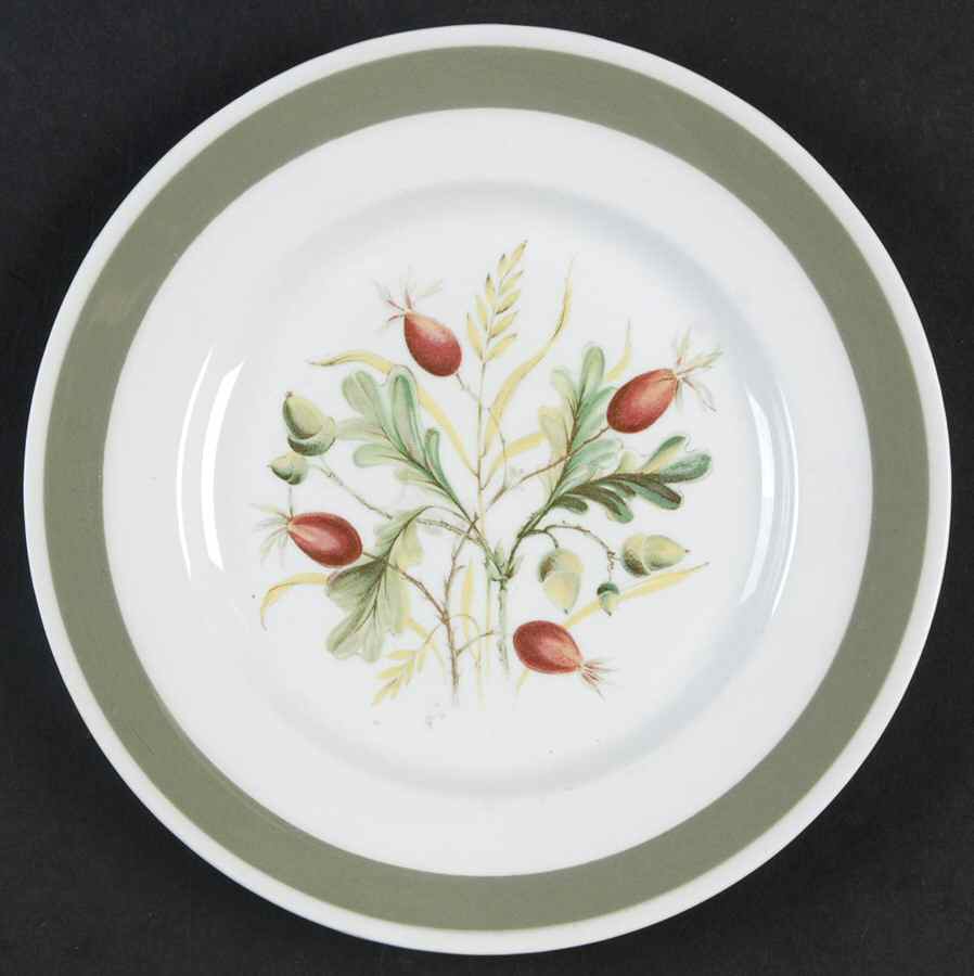 Greenwood (White Background) Bread & Butter Plate by Alfred Meakin-1
