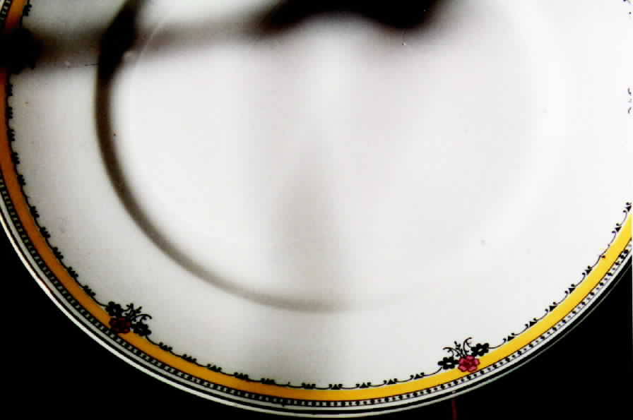 MEA19 Dinner Plate by Alfred Meakin-1